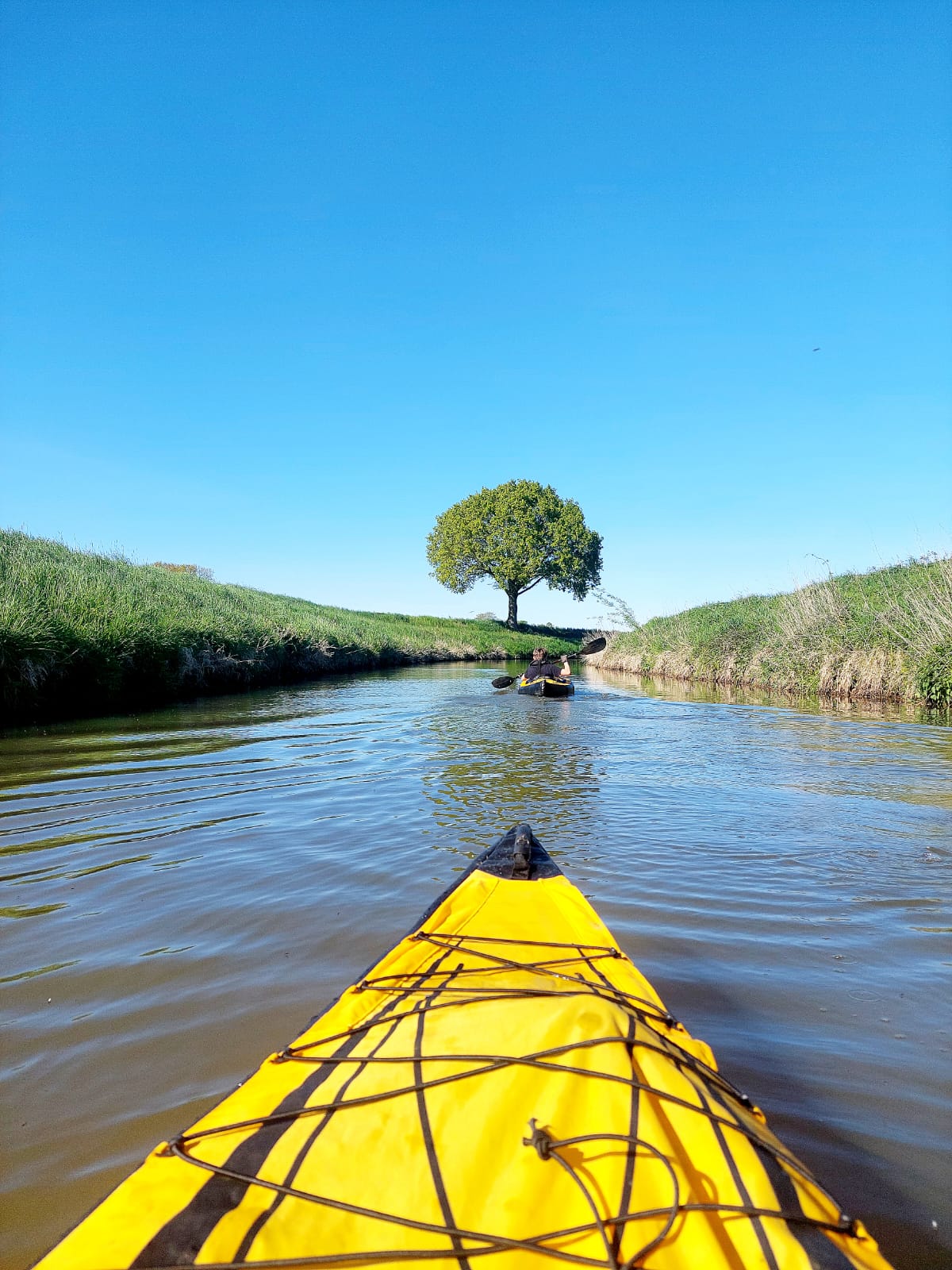 Kajaktour auf ruhigem Wasser zwischen grünen Ufern und weitem Himmel.